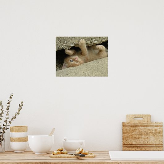 Super Hero Kitty Cat Spaß Poster (Küche)