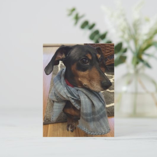 Super Hund! Postkarte (Stehend Vorderseite)