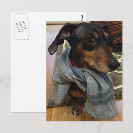 Super Hund! Postkarte (Vorne/Hinten)