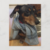 Super Hund! Postkarte (Vorderseite)