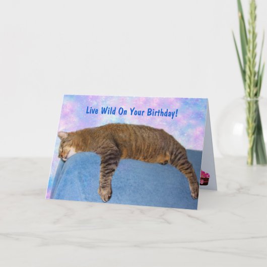 Super Lazy Party Cat Birthday Karte (Vorderseite)