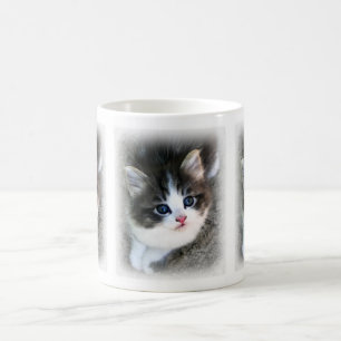 SUPER LIEBENSWERTES Katzenporträt-Fotografie Kaffeetasse