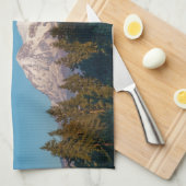 Super Moon 2014 Küchentuch (Viertel Falte)