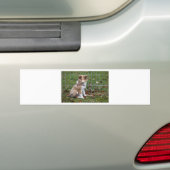 Super Niedlich Collie Autoaufkleber (Auf Auto)