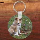 Super Niedlich Collie Schlüsselanhänger (Vorderseite)