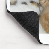 Super Niedlich Ginger Schlafkitten Mousepad (Ecke)