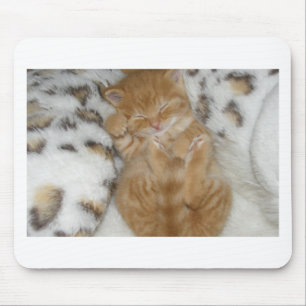 Super Niedlich Ginger Schlafkitten Mousepad