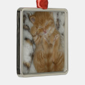 Super Niedlich Ginger Schlafkitten Silbernes Ornament (Rechts)