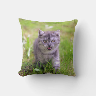 Super Niedlich Gray Kitten Foto Design Kissen
