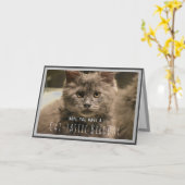 Super Niedlich Gray Kitten Funny Birthday Card Karte (Gelbe Blume)