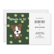 Super Niedlich Green Boxer Welpe Geburtstag