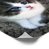 SUPER NIEDLICH Kitten individuell anpassbar Poster (Ecke)