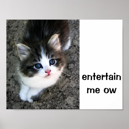 SUPER NIEDLICH Kitten individuell anpassbar Poster (Vorne)