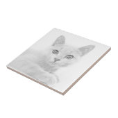 SUPER NIEDLICH Kitten Portrait Fliese (Seite)
