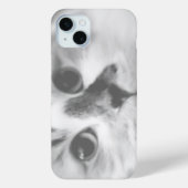 SUPER NIEDLICH Kitten Portrait Foto Case-Mate iPhone Hülle (Rückseite)