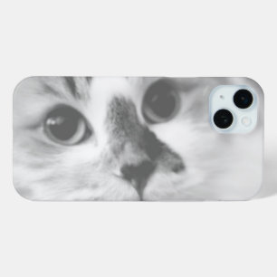 SUPER NIEDLICH Kitten Portrait Foto Case-Mate iPhone Hülle