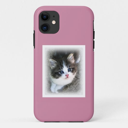 SUPER NIEDLICH Kitten Portrait Foto Case-Mate iPhone Hülle (Rückseite)