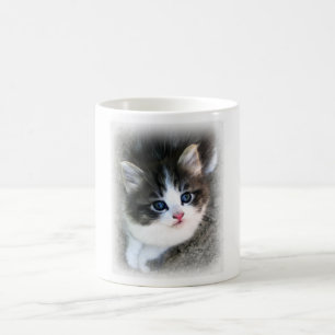 SUPER NIEDLICH Kitten Portrait Foto Kaffeetasse