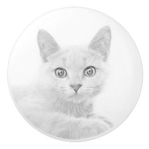 SUPER NIEDLICH Kitten Portrait Foto Keramikknauf