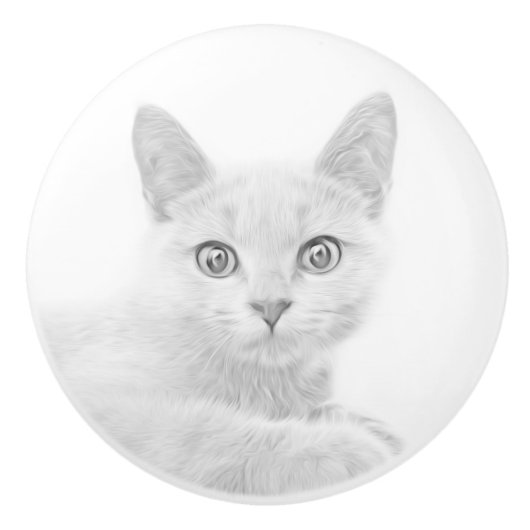 SUPER NIEDLICH Kitten Portrait Foto Keramikknauf (Vorderseite)