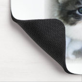 SUPER NIEDLICH Kitten Portrait Foto Mousepad (Ecke)