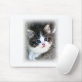 SUPER NIEDLICH Kitten Portrait Foto Mousepad (Mit Mouse)