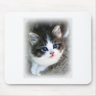 SUPER NIEDLICH Kitten Portrait Foto Mousepad