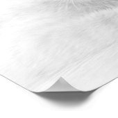 SUPER NIEDLICH Kitten Portrait Foto Poster (Ecke)