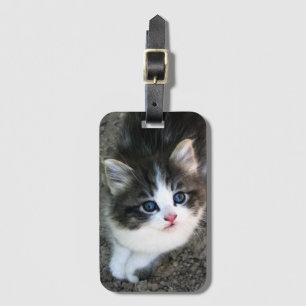 SUPER NIEDLICH Kitten Portrait Gepäckanhänger