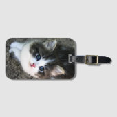 SUPER NIEDLICH Kitten Portrait Gepäckanhänger (Vorderseite (Horizontal))