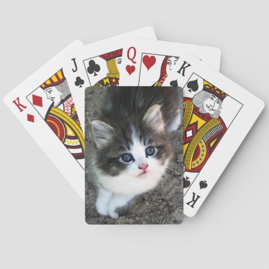 SUPER NIEDLICH Kitten Spielkarten (Rückseite)