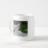Super Niedlich Siamese Kitten Kaffeetasse (Vorderseite Links)