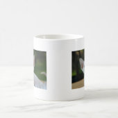 Super Niedlich Siamese Kitten Kaffeetasse (Mittel)