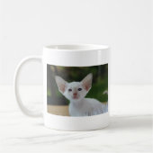 Super Niedlich Siamese Kitten Kaffeetasse (Links)