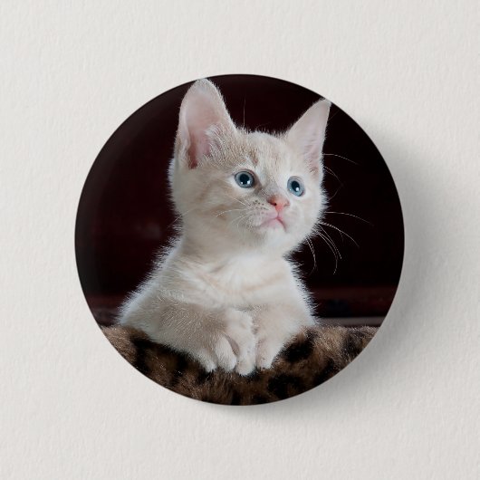 Super Niedlich White Kitten Button (Vorderseite)