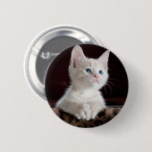 Super Niedlich White Kitten Button (Vorne & Hinten)
