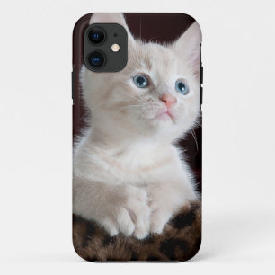 Super Niedlich White Kitten Case-Mate iPhone Hülle