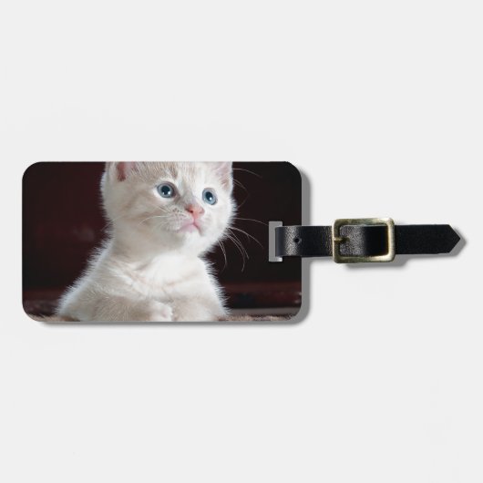 Super Niedlich White Kitten Gepäckanhänger (Vorderseite horizontal)