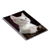 Super Niedlich White Kitten Notizblock (Rechte Seite)