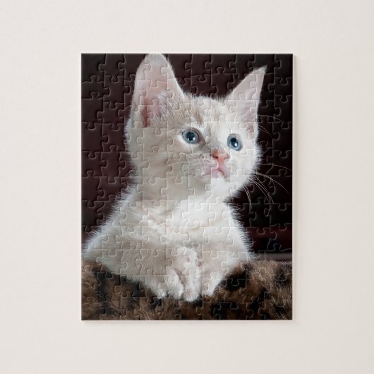 Super Niedlich White Kitten Puzzle (Vertikal)