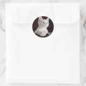 Super Niedlich White Kitten Runder Aufkleber (Tasche)