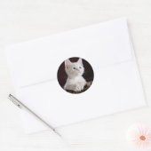 Super Niedlich White Kitten Runder Aufkleber (Umschlag)