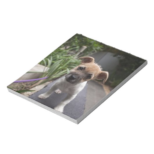 Super Niedliche Grenz Terrier Welpe Notizblock (Rotiert)