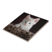 Super Niedliche Kitten mit schönen Augen Fliese (Seite)