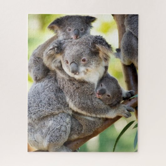 Super Niedliche Koala Wildlife Family Puzzle (Vertikal)