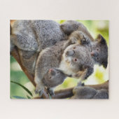 Super Niedliche Koala Wildlife Family Puzzle (Horizontal)