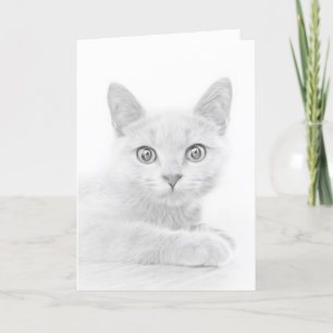 Super Niedliche schottische Fold Kitten Cat Feiertagskarte
