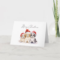Super niedliche Weihnachtswelpen