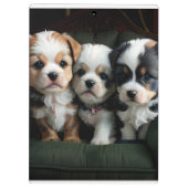 Super Niedliche Welpen auf dem Sofa 2 Klemmbrett (Rückseite)