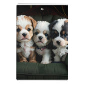 Super Niedliche Welpen auf dem Sofa 2 Mini Klemmbrett (Rückseite)